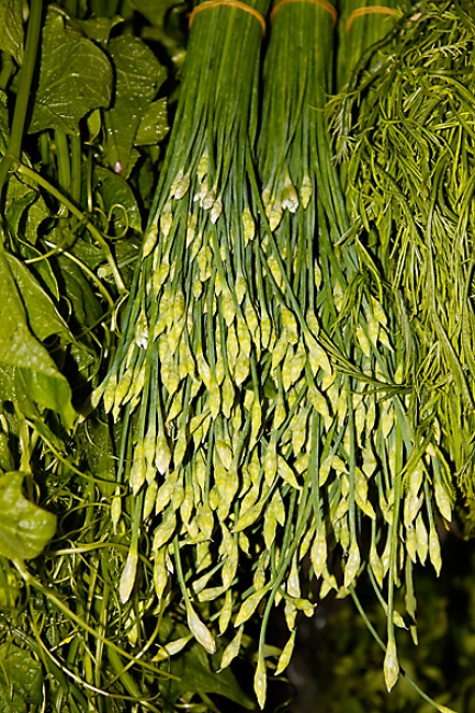 Chiang Rai-Marche-029